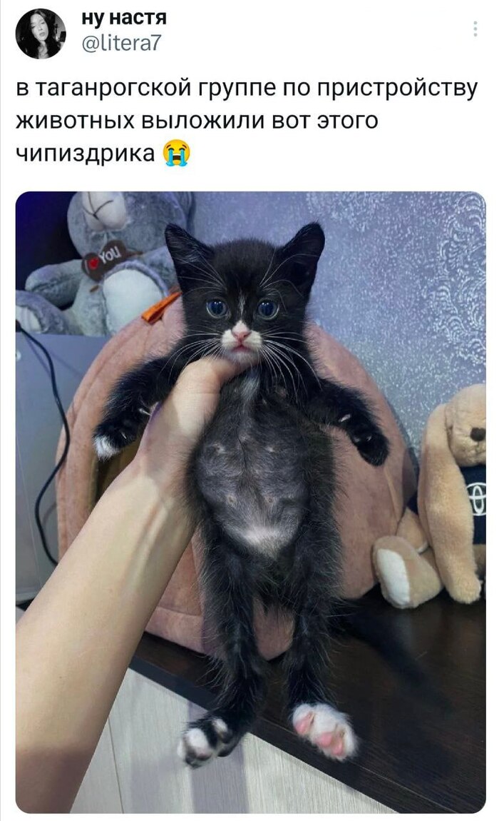 ������ �� �����!!