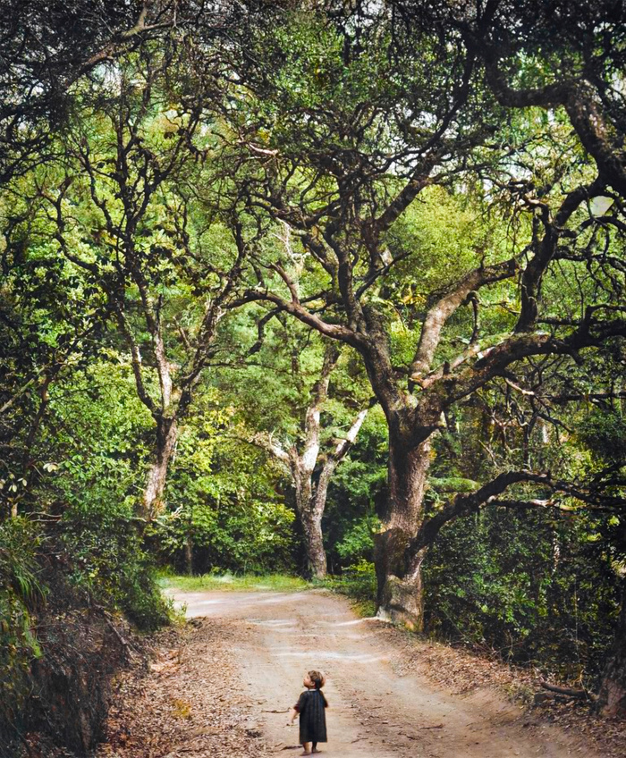 Подборка фотографий из прошлого, которые заставляют удивиться. 20 раскрашенных фотографий из XIX-ХХ века. Часть XII Историческое фото, Старое фото, Фотография, Колоризация, 20 век, Длиннопост Подборка фотографий из прошлого, которые заставляют удивиться. 20 раскрашенных фотографий из XIX-ХХ века. Часть XII Историческое фото, Старое фото, Фотография, Колоризация, 20 век, Длиннопост