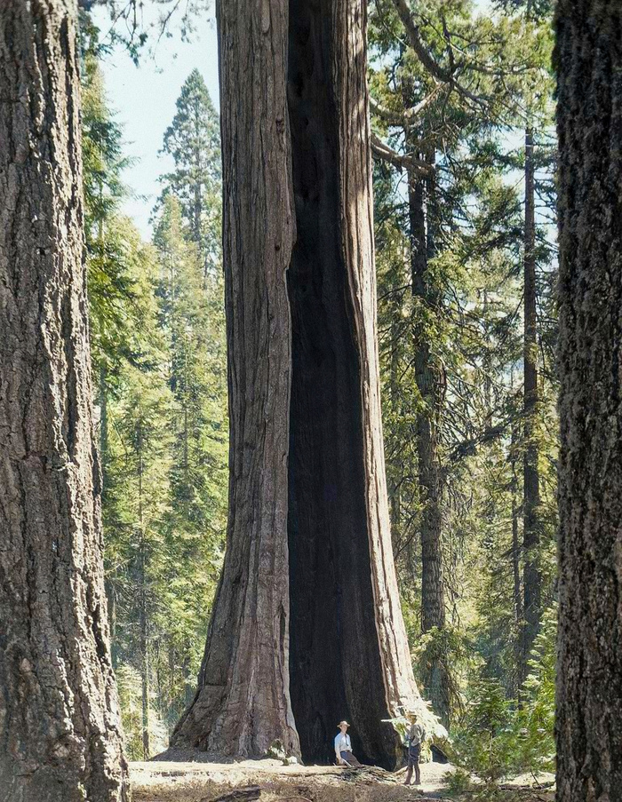 Подборка фотографий из прошлого, которые заставляют удивиться. 20 раскрашенных фотографий из XIX-ХХ века. Часть XII Историческое фото, Старое фото, Фотография, Колоризация, 20 век, Длиннопост Подборка фотографий из прошлого, которые заставляют удивиться. 20 раскрашенных фотографий из XIX-ХХ века. Часть XII Историческое фото, Старое фото, Фотография, Колоризация, 20 век, Длиннопост