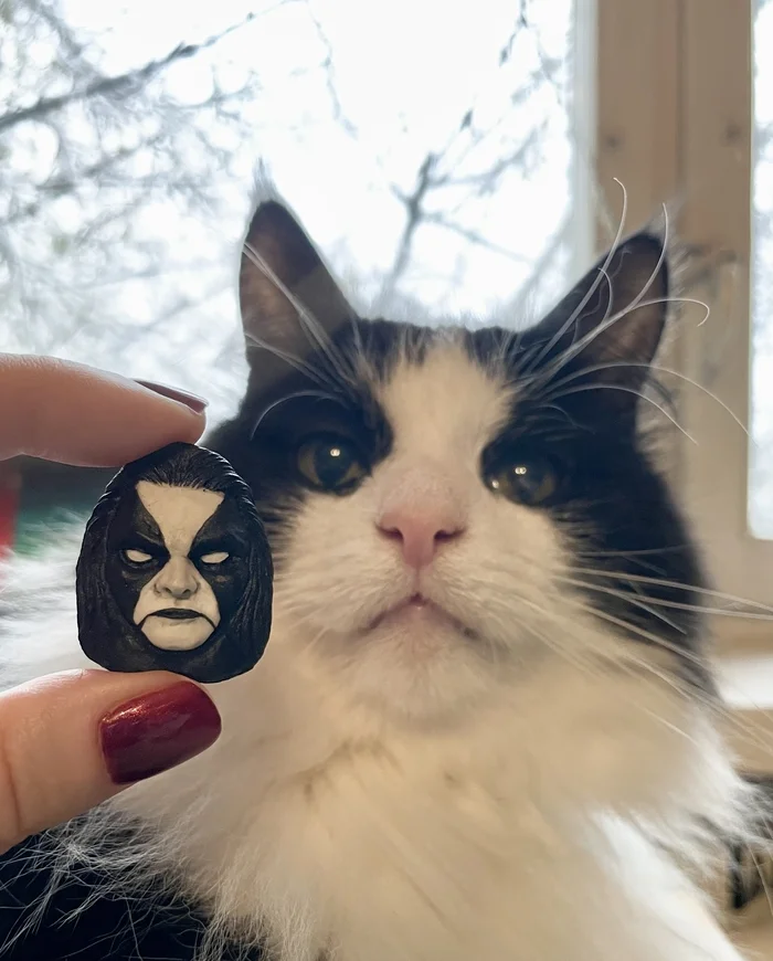 True Norwegian cats - My, Abbath, cat, Immortal (black metal band)