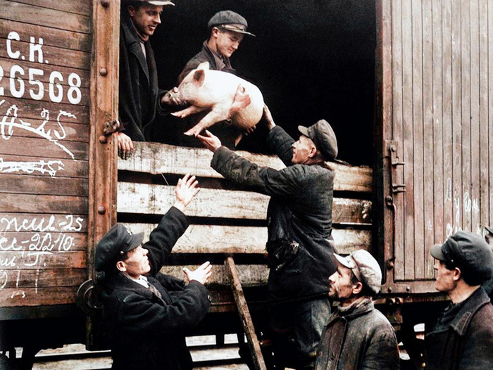 Подборка простых и потрясающих фотографий эпохи СССР. 20 раскрашенных фотографий, Часть XII Старое фото, Историческое фото, Фотография, Колоризация, СССР, Сделано в СССР, Детство в СССР, 60-е, 70-е, 80-е, 50-е, Длиннопост Подборка простых и потрясающих фотографий эпохи СССР. 20 раскрашенных фотографий, Часть XII Старое фото, Историческое фото, Фотография, Колоризация, СССР, Сделано в СССР, Детство в СССР, 60-е, 70-е, 80-е, 50-е, Длиннопост