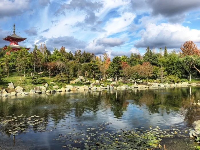 Mid-Autumn in a Japanese Garden - My, The photo, Japanese Garden, Galitsky Park, Krasnodar Park, Russia, Krasnodar, Autumn, Longpost