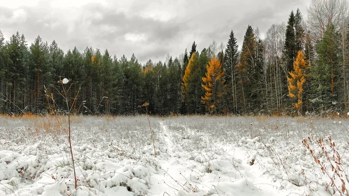 First Snow 2.0 - My, The photo, Canon, Middle Ural, Nature, Landscape, Autumn, Snow, Forest, Field, Beautiful view, Perspective