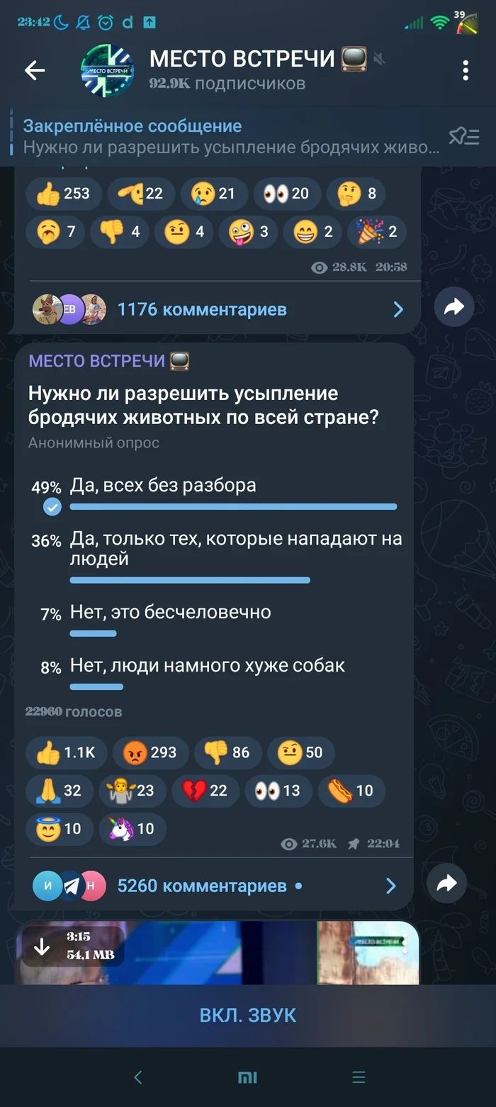 Не забудьте про петицию - Без рейтинга, Бродячие собаки, Длиннопост, Здравый смысл, Приоритеты, Дети, Собака, Надоело, Собачники, Эвтаназия, Опрос