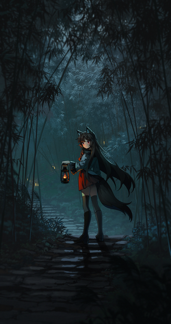    Touhou, Imaizumi Kagerou, Anime Art, Game Art, Animal Ears, , 