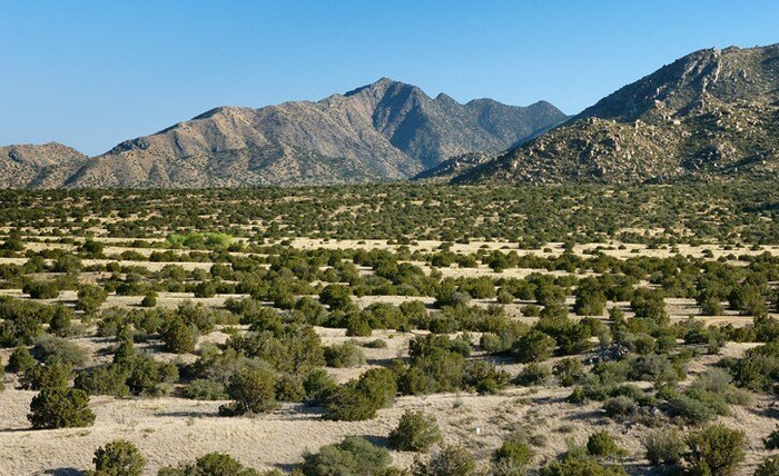   New Mexico  , , , ,   