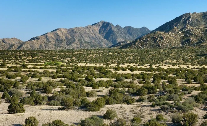 Осень в New Mexico - Моё, Планета Земля, Огород, Видео, Длиннопост, Пикабушники за границей