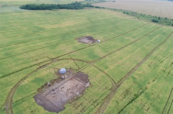 Finds of the 2024 field season in Vladimir region - Archeology, Vladimir region, Vladimir city, Suzdal, Murom, Ancient artifacts, Mjolnir, Vigilantes, Longpost