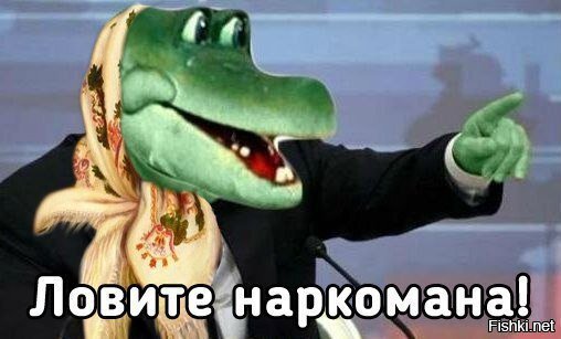 Ответ на пост «Пиши так, чтобы все понимали» - Психология, Понимание, Проблема, Ответ на пост