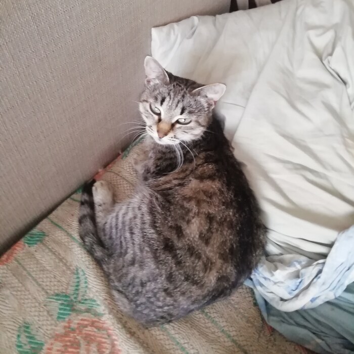 Только встал, а место уже занято