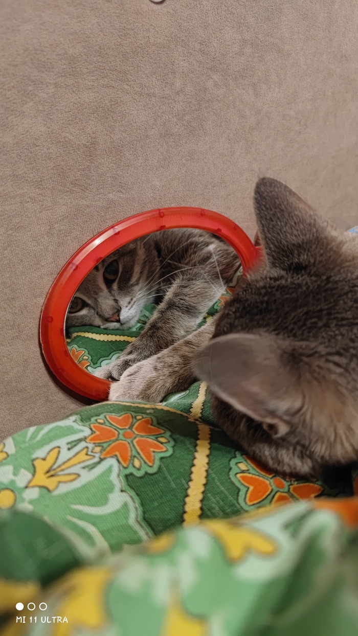     , , ,  ,  ,  