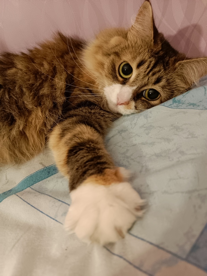 Здравствуйте!