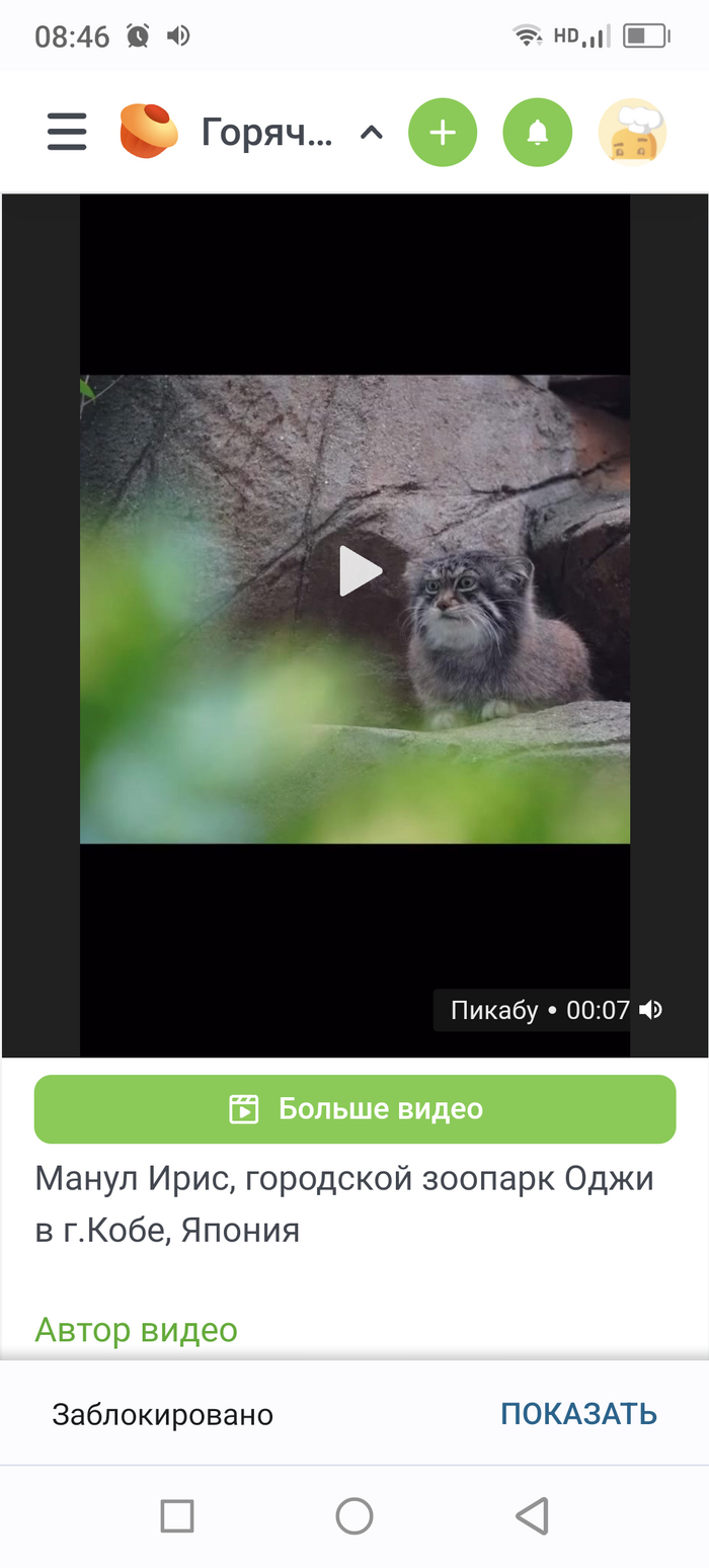      ? , , , , , 