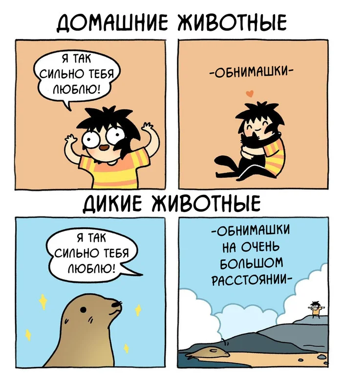 Difference - My, Sarah Andersen, Daub time, Translated by myself, Comics, cat, Hugs, Seal, Pets, Wild animals, Difference