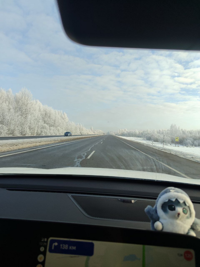 Минское ш. Еду в Минск в очередное путешествие. Просто красивая дорога и кот - Сержик