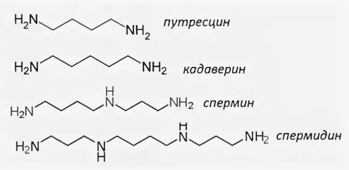 ������� ����������� ������� ��������� ��������. ����� �� ��������������, � � ��������.