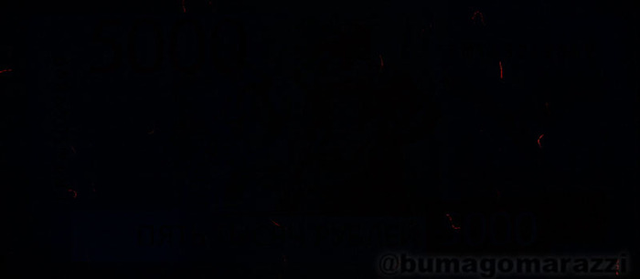 5000  2023 -   -   365