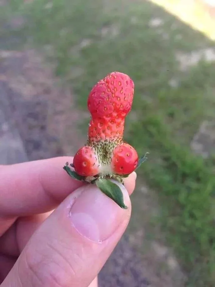 Have a nice day to you all! - Strawberry (plant), Good mood, Morning, Pareidolia