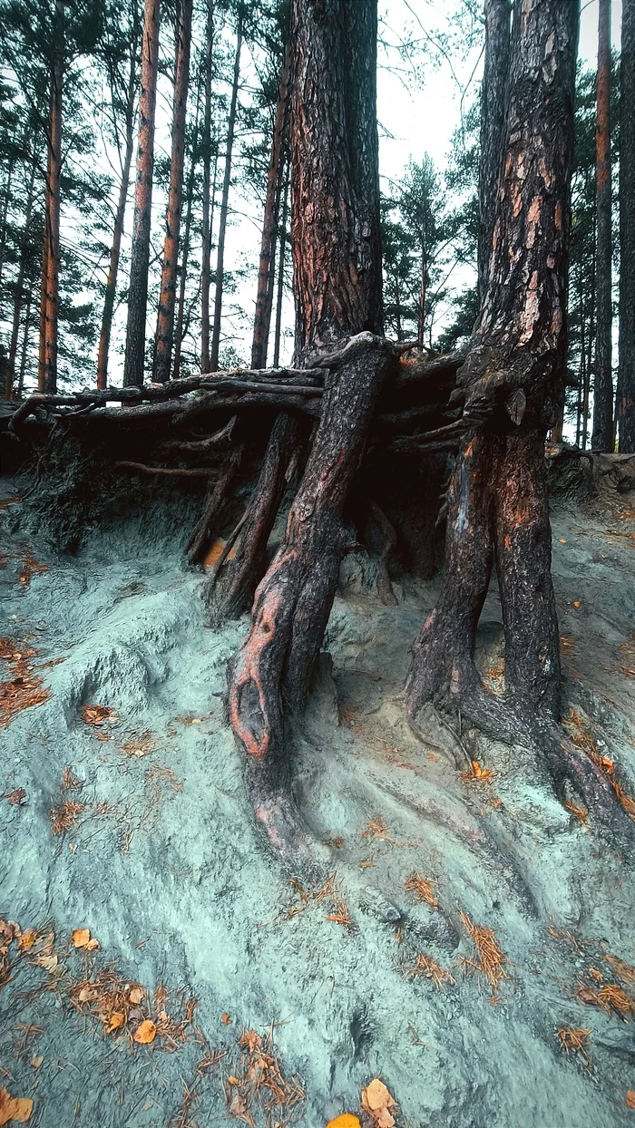 Тальков камень, Свердловская область - Моё, Мобильная фотография, Тальков камень, Сысерть, Путешествие по России, Длиннопост