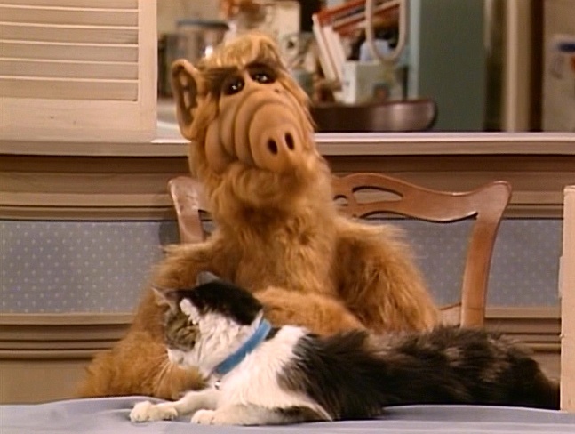 Единственно правильный квадробер