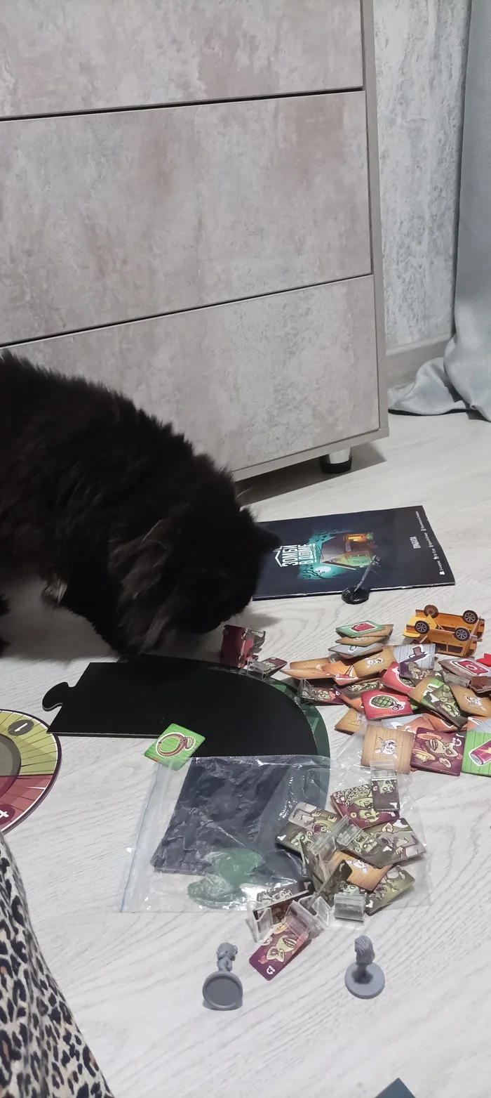 My cat. Just a fat cat with sighs of regret. Full work weeks ahead, so hold on... Go play board games! - My, Black cat, cat, Hold on, Board games, Longpost, Pets, The photo