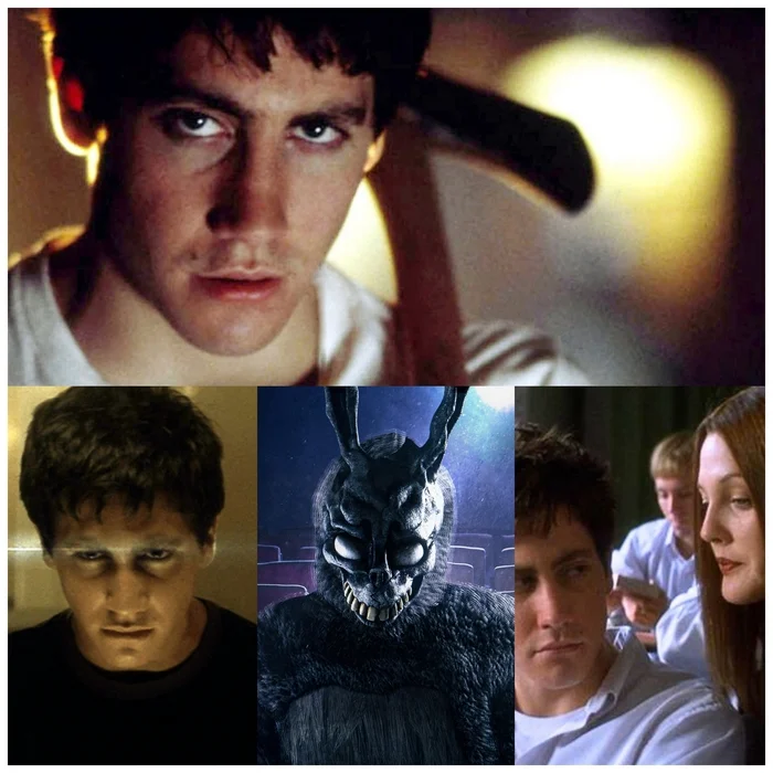 A guy sees a rabbit man who predicts the end of the world. The cult thriller that gave birth to a ton of theories - My, Review, Jake Gyllenhaal, Donnie Darko, Fantasy, Actors and actresses, I advise you to look, Thriller, Longpost