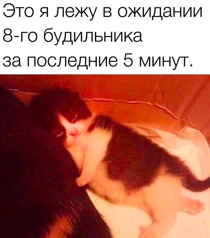 На грани фола