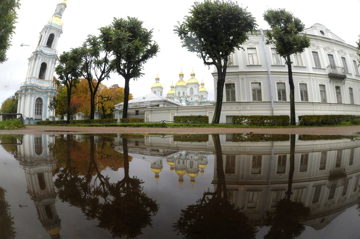 Светлый день