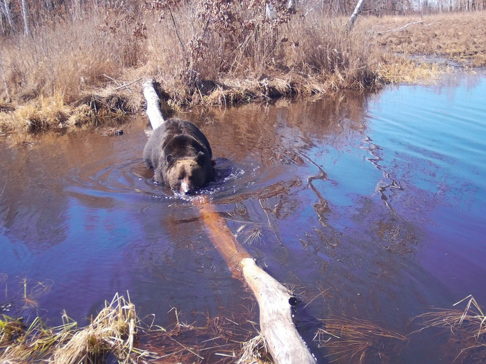 �� ����� ��������, �� ��������)