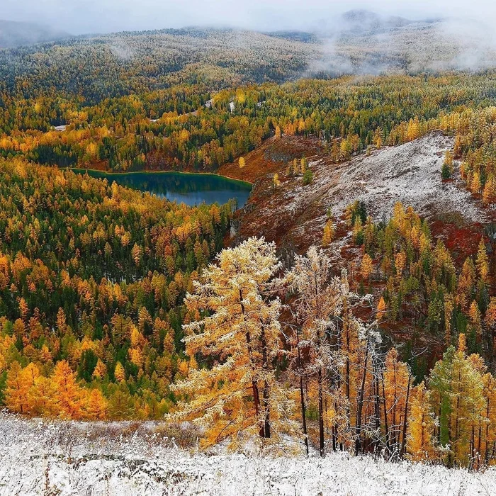 Зима и осень встретились, Алтай - Осень, Фотография, Природа, Природа России, Красота, Республика Алтай