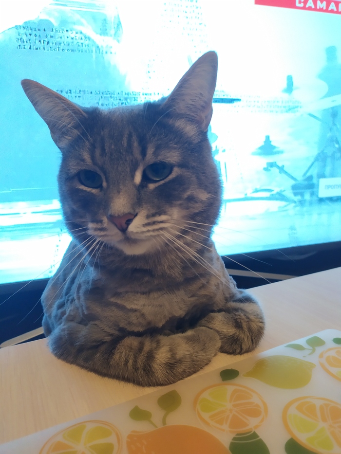 Ответ на пост «"Ничего не хочешь рассказать мне?"»