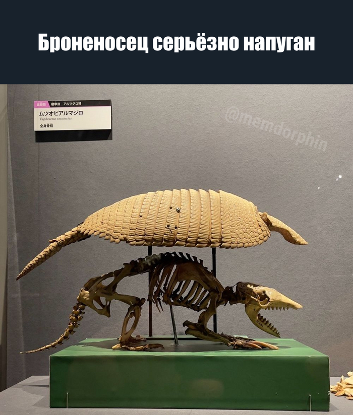 �������, ����� �������