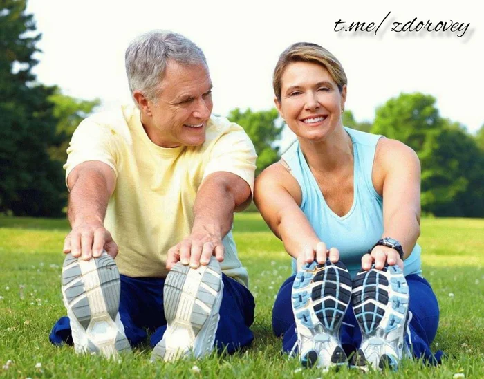 IS IT IMPORTANT TO DO SPORTS AFTER 40 YEARS OF AGE? - Healthy lifestyle, Health, Proper nutrition, Nutrition, Sports Tips, Telegram (link)