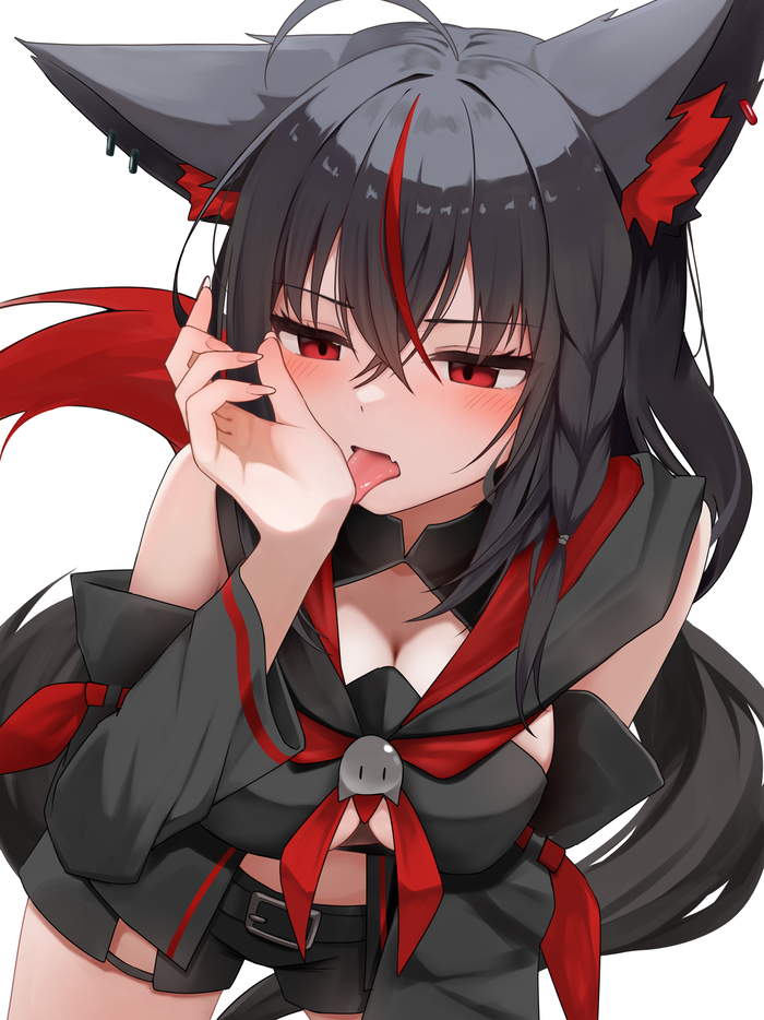  Anime Art, , Hololive, Virtual YouTuber, Kurokami Fubuki, Animal Ears, 