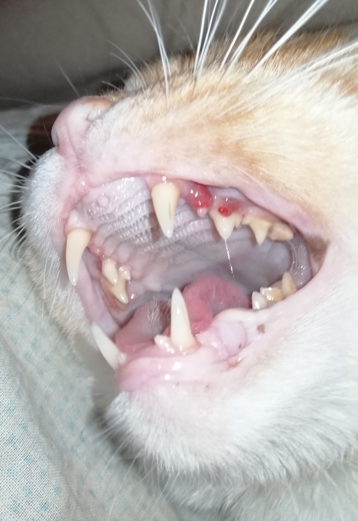    ? ,  ,  , , , , ,  , 