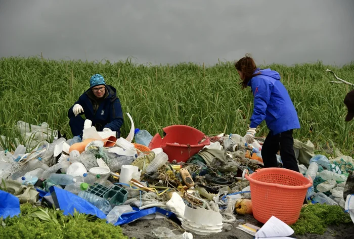 Scientists have found that 85% of marine waste in Kamchatka is plastic - Ecology, Scientists, Garbage, Research, The science, Kamchatka, Ocean