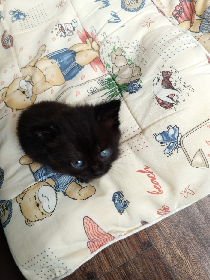 � ��� �� ����� ����!