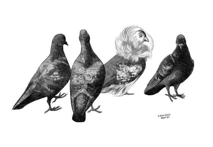 INKTOBER .  4/31 . &quot;&quot;