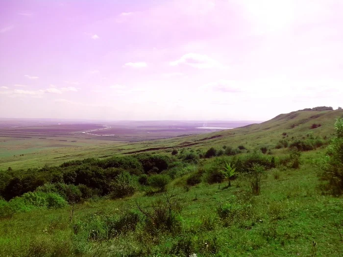 Purple Sky and Stolen Phone - My, The photo, Nature, Plants, Landscape