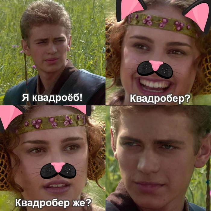 Once upon a picnic - Quad Bearers, Memes, Anakin and Padme at a picnic, Bestiality, Mat, Picture with text