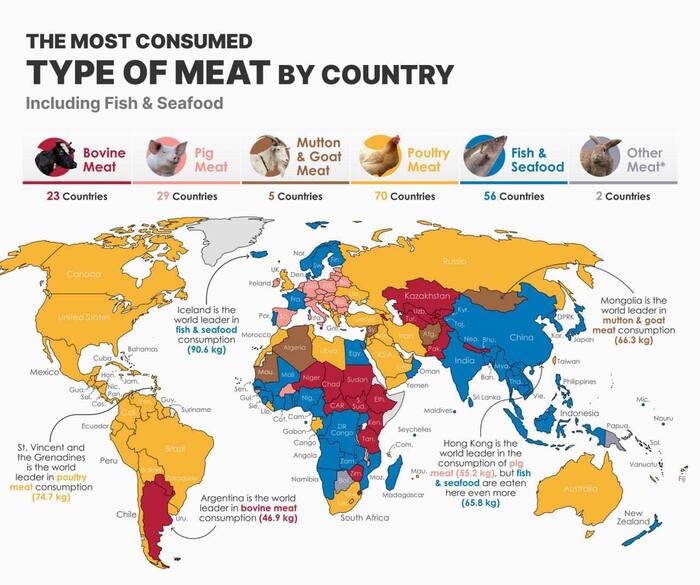 ����� ������������ ��� ���� �� ���� ��������� � ������� ����