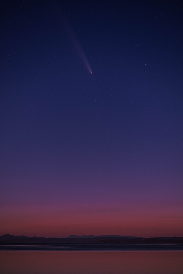 ,  , , , , 