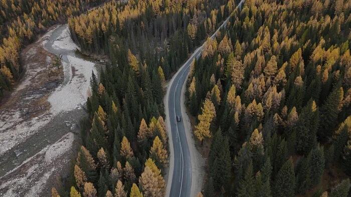 Ulagansky tract - Altai Republic, The photo, Autumn, Travels, Dji, The nature of Russia, Beautiful view