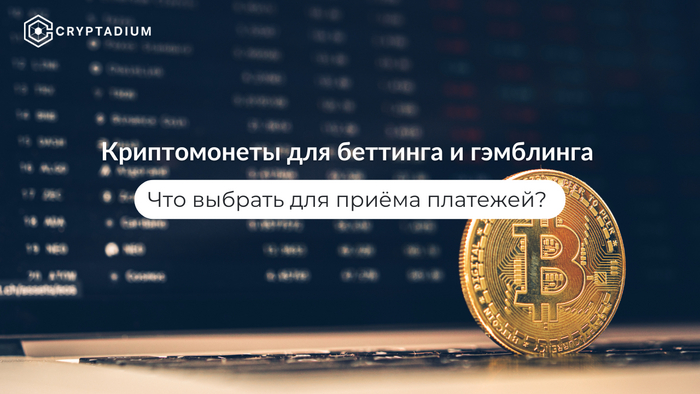 Как выбрать монеты для приёма платежей в онлайн-казино и букмекерских конторах