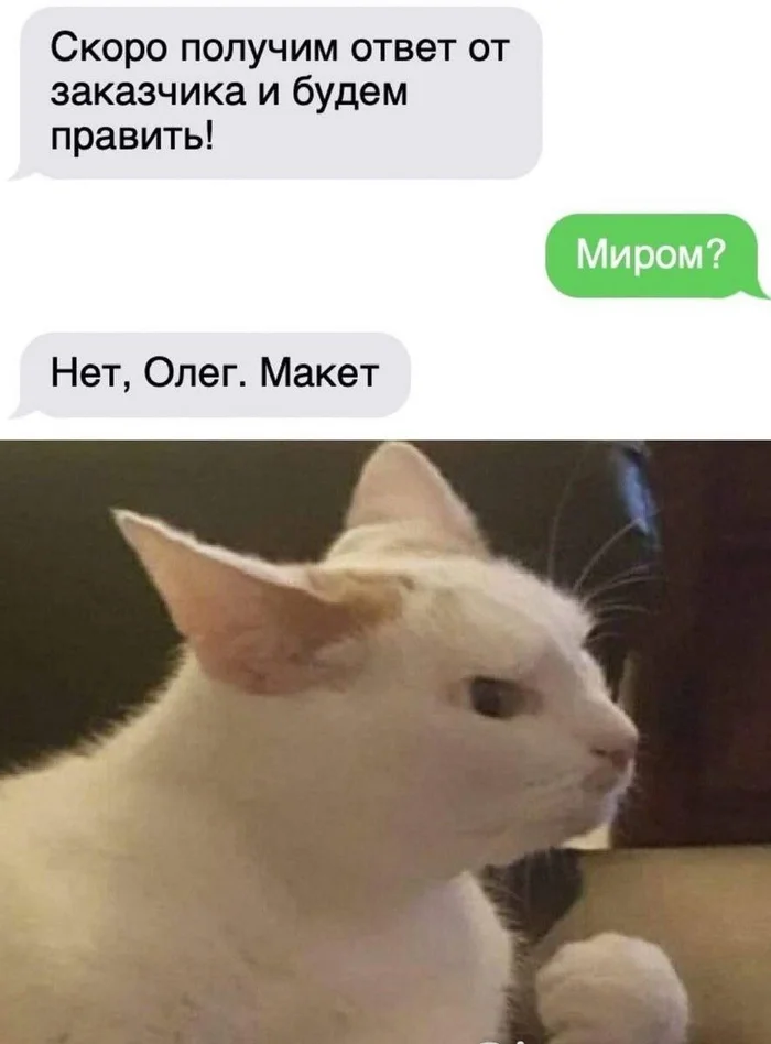 А хотелось - Мемы, Юмор, Кот