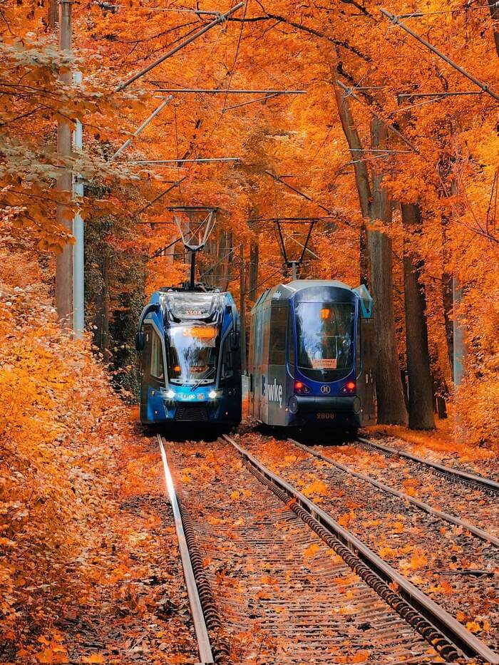 Autumn - Poland, Wroclaw, Autumn, Tram, The photo, Autumn leaves