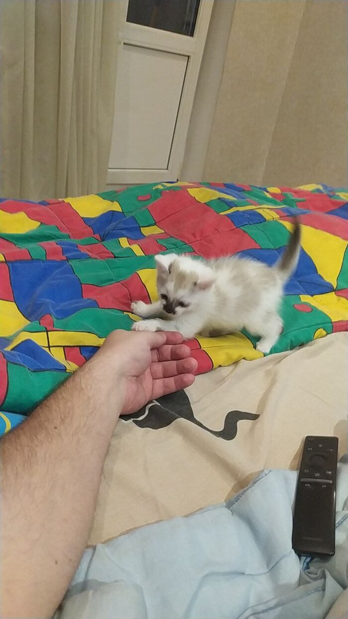  .  3.    , , , ,  , , , , 