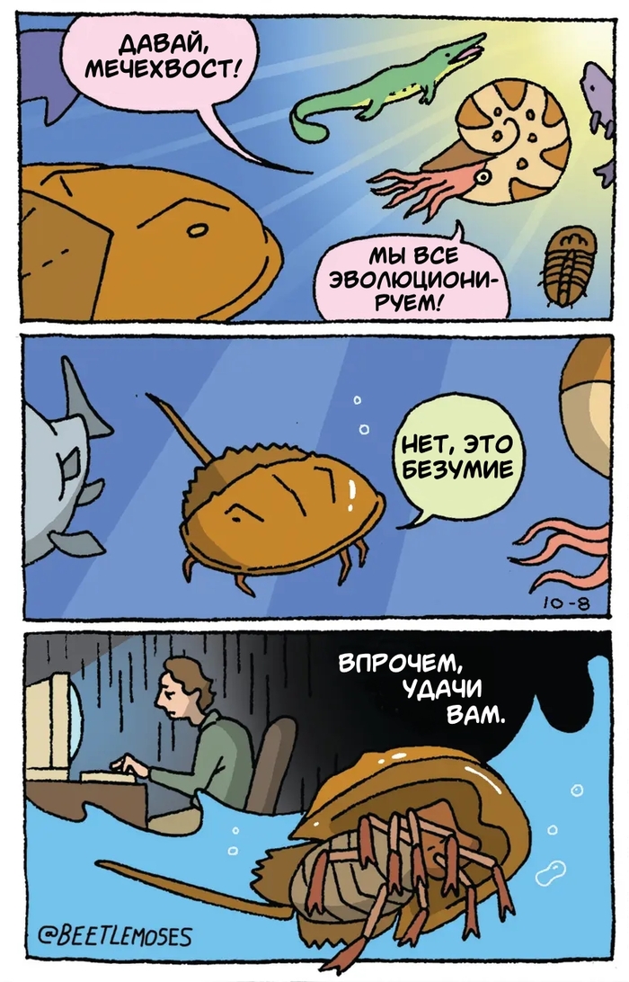 Оставайся в своей колее
