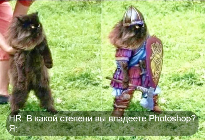 Cat Viking - cat, Викинги, Photoshop, Repeat, Humor, Hardened