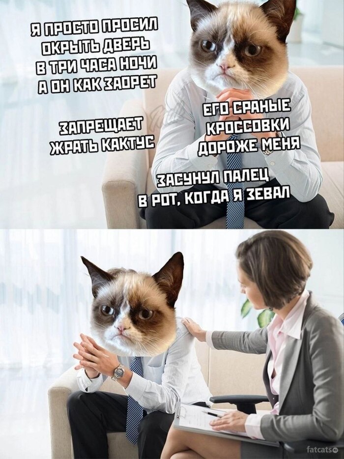   , 
